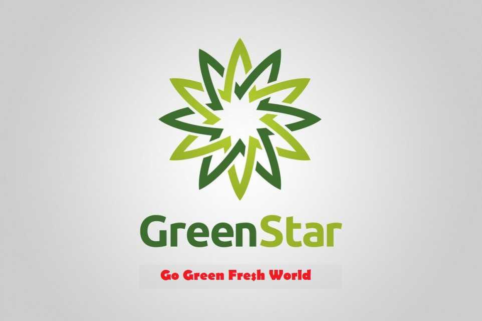 Greenstar Traders Llp